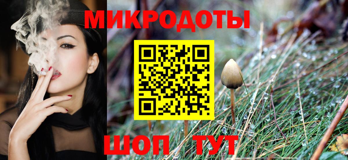 как найти закладки  Вход с VPN  Ульяновск  Псилоцибиновые грибы Psilocybe 